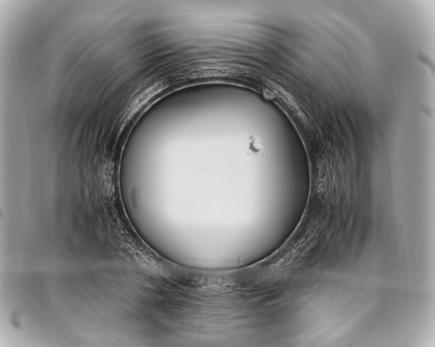 X0000097000786200802221520