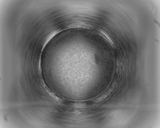 X0000097000788200802221520