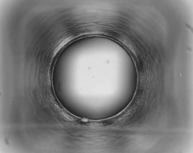 X0000097000789200802221520