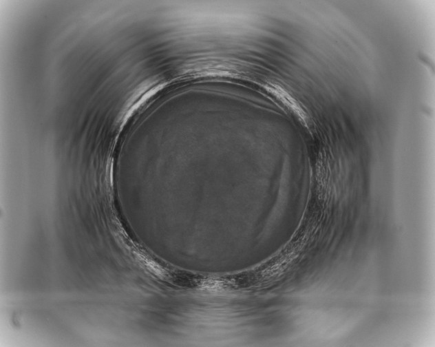 X0000097000790200802221520