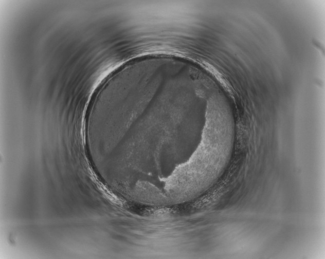 X0000097000791200802221520