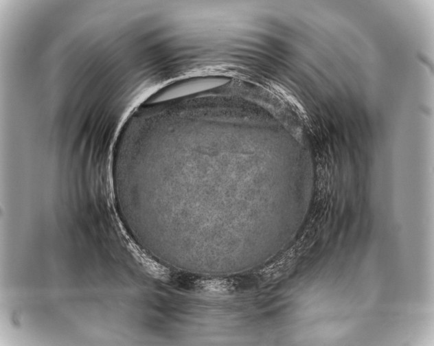 X0000097000792200802221520