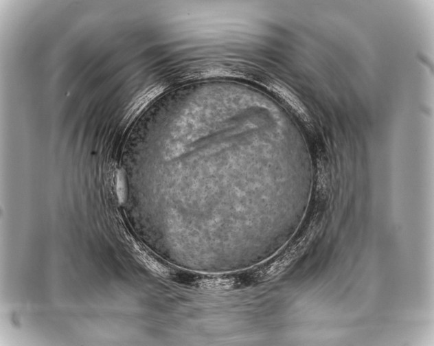 X0000097000793200802221520