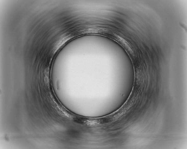 X0000097000794200802221519