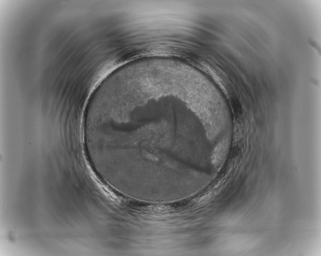 X0000097000795200802221519