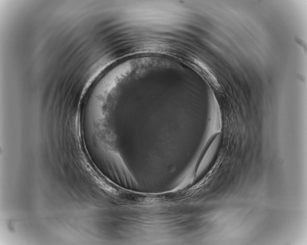 X0000097000796200802221519