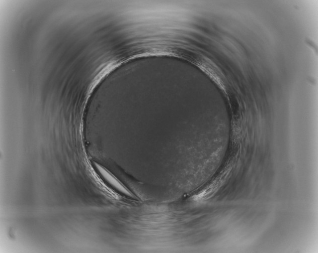 X0000097000797200802221519