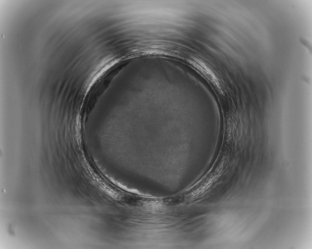 X0000097000798200802221519