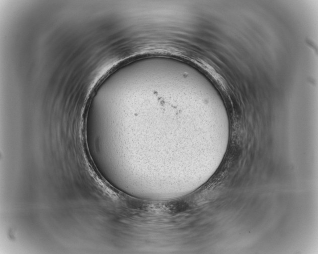 X0000097000799200802221519