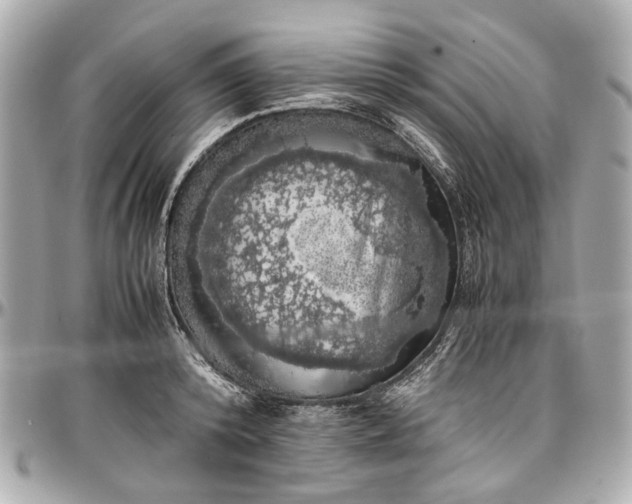 X0000097000800200802221519