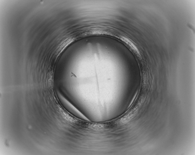 X0000097000801200802221519