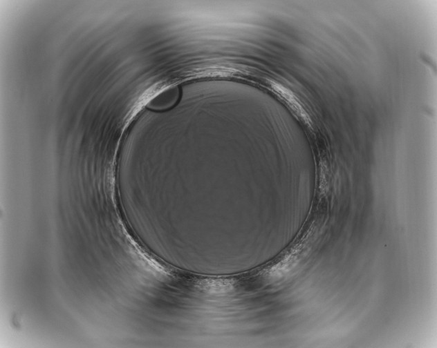 X0000097000802200802221519