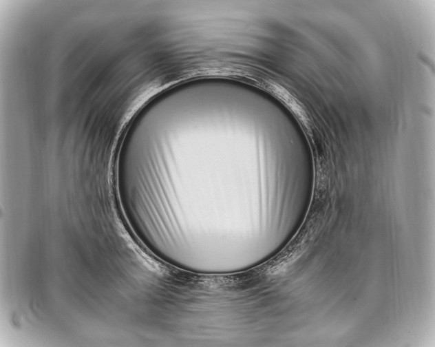 X0000097000803200802221519