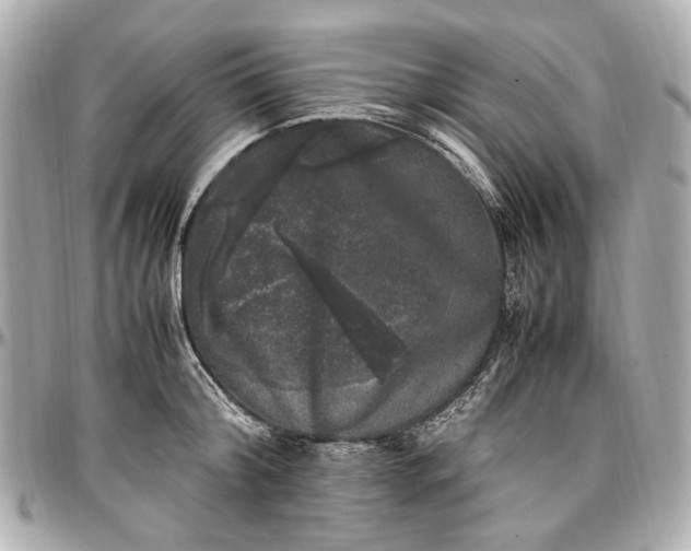 X0000097000804200802221519