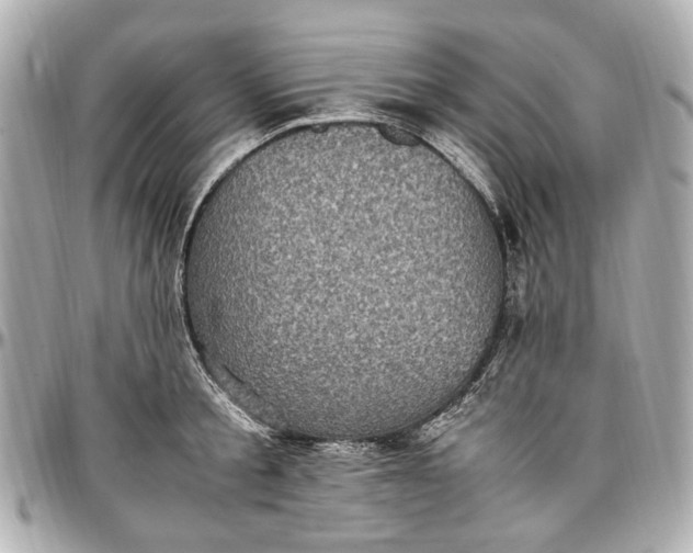 X0000097000805200802221519