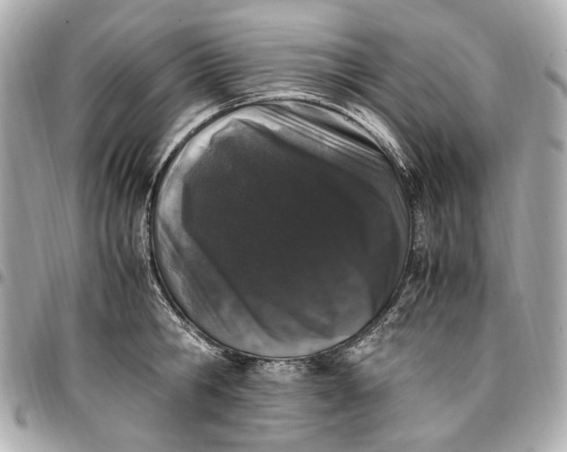 X0000097000806200802221519