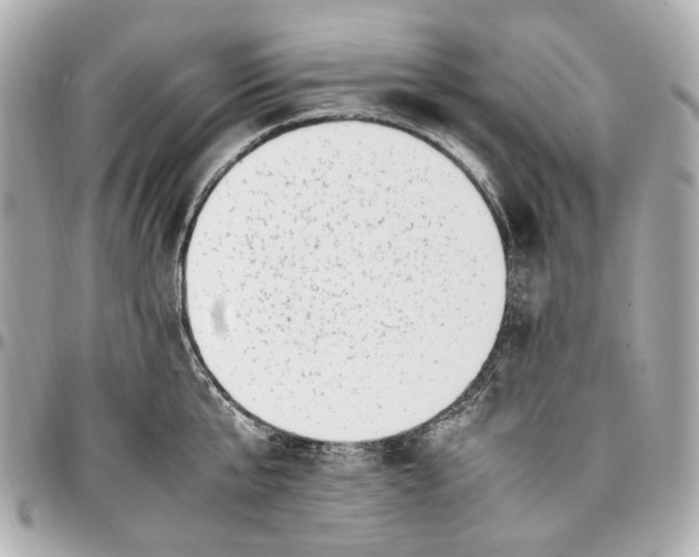 X0000097000807200802221519