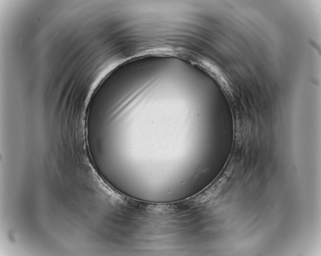 X0000097000808200802221519