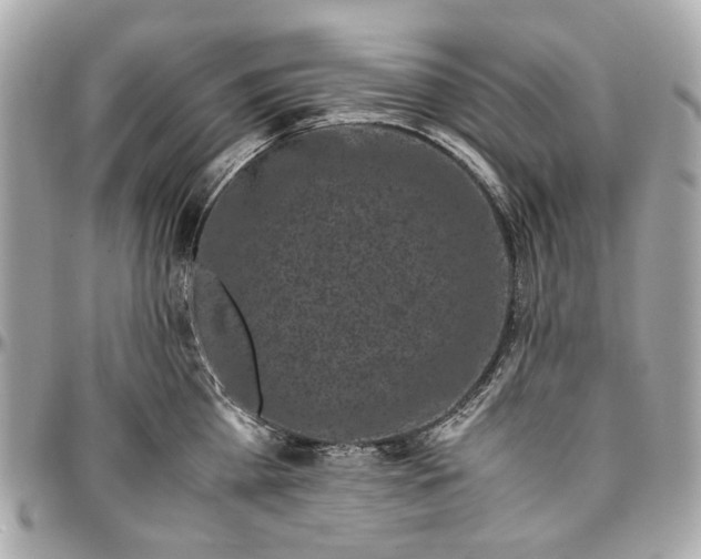 X0000097000809200802221519