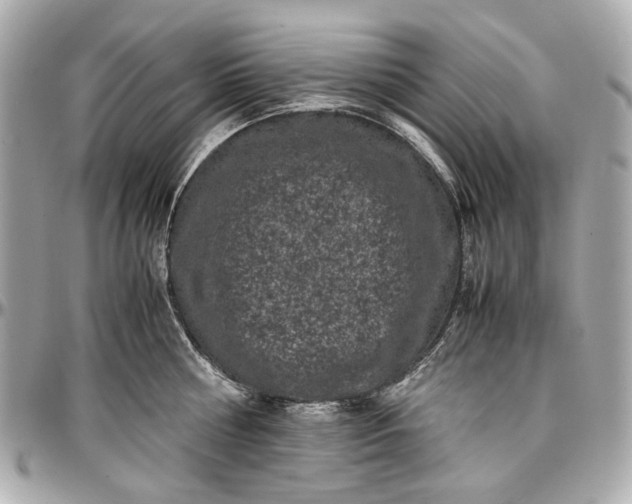 X0000097000810200802221519