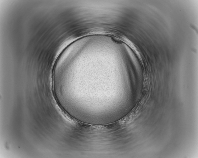 X0000097000811200802221519