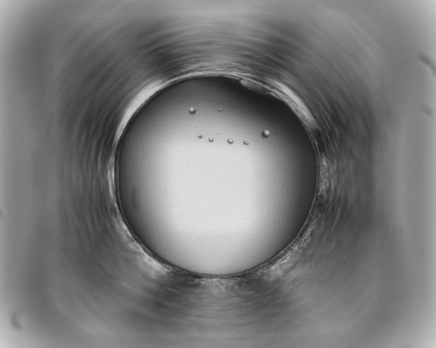 X0000097000812200802221519