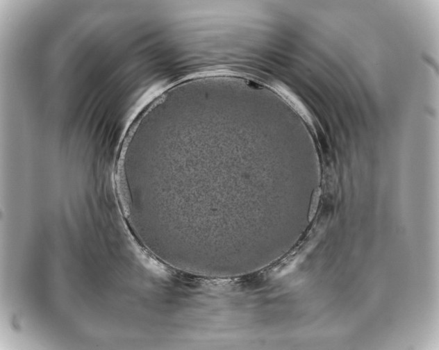 X0000097000813200802221519