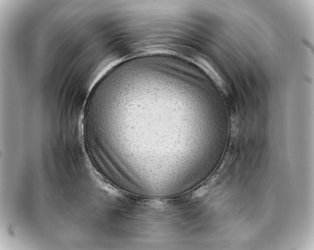 X0000097000814200802221519