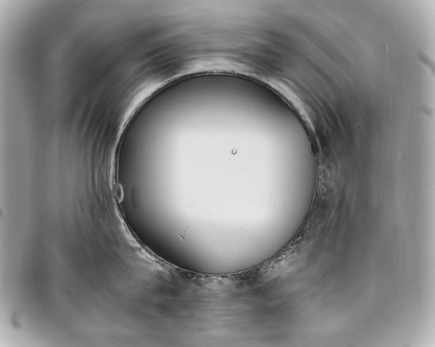 X0000097000815200802221519