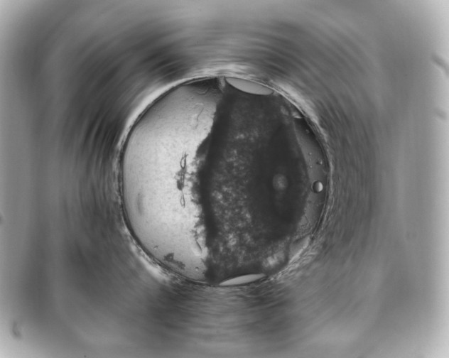 X0000097000816200802221519