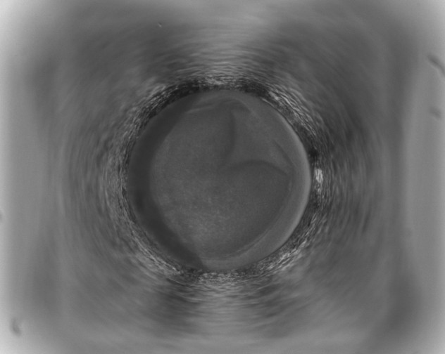 X0000097000817200802221519