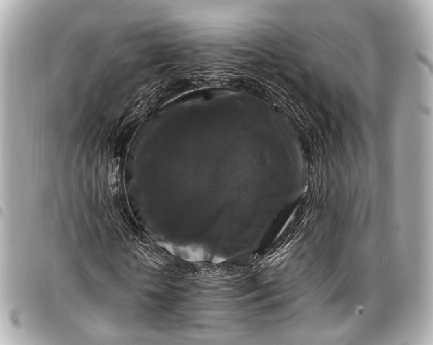 X0000097000818200802221519