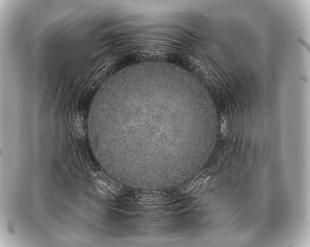 X0000097000819200802221519