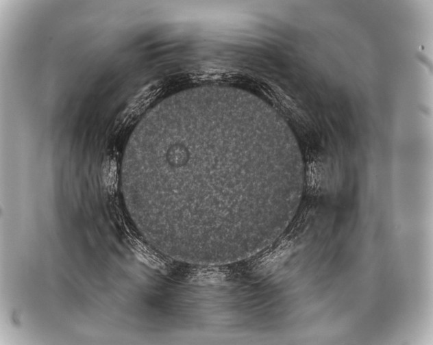 X0000097000820200802221519