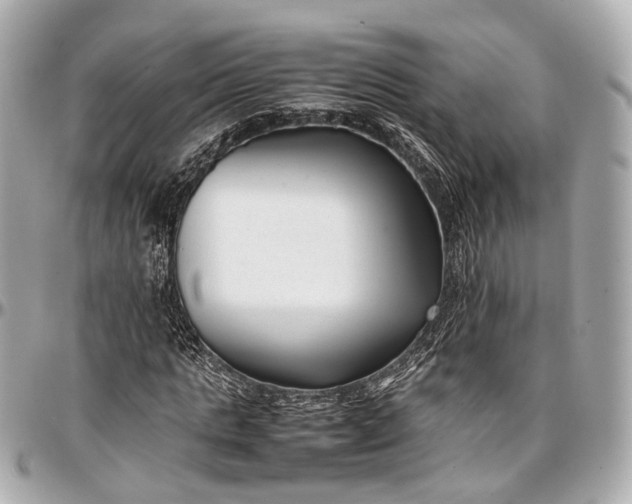 X0000097000821200802221519