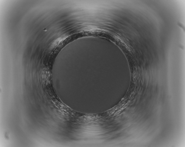 X0000097000822200802221519