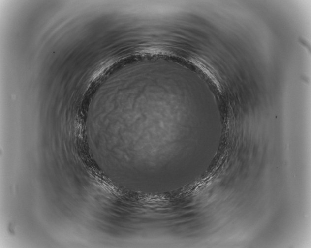 X0000097000823200802221519