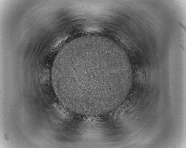 X0000097000824200802221519