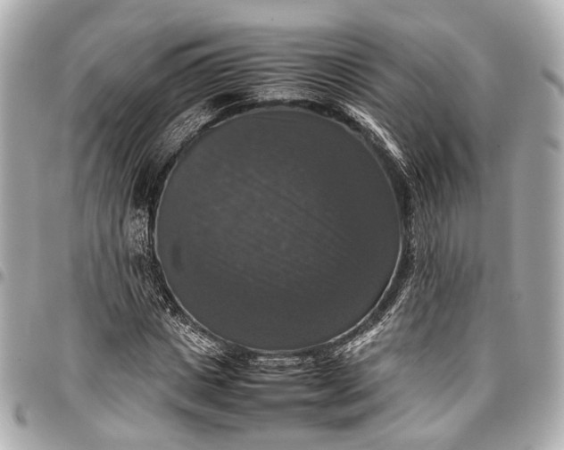 X0000097000825200802221519