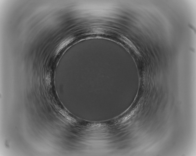 X0000097000826200802221519