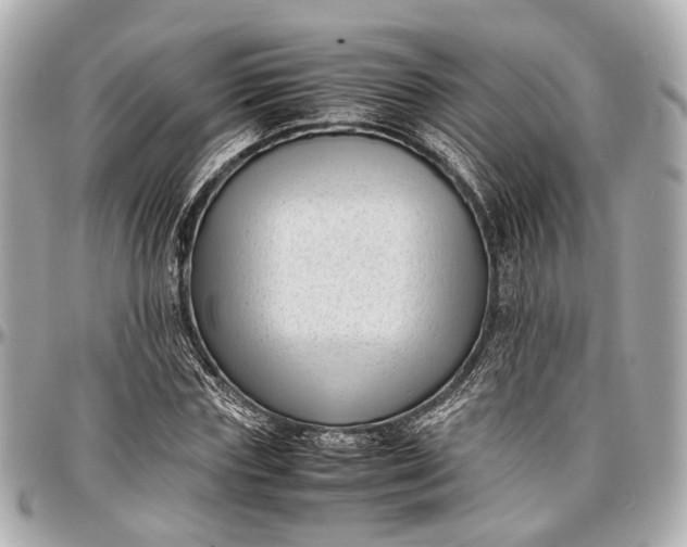 X0000097000827200802221519