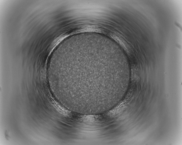 X0000097000828200802221519