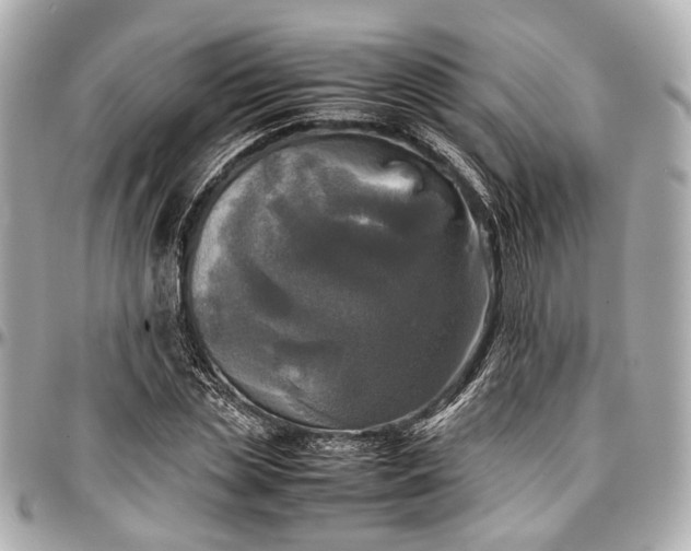 X0000097000829200802221519