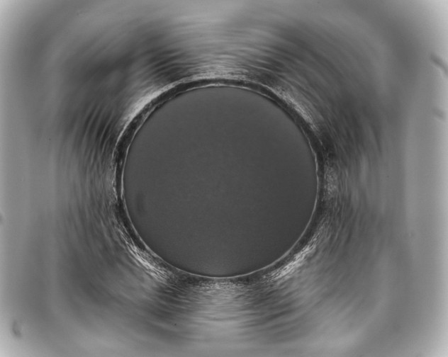 X0000097000830200802221519