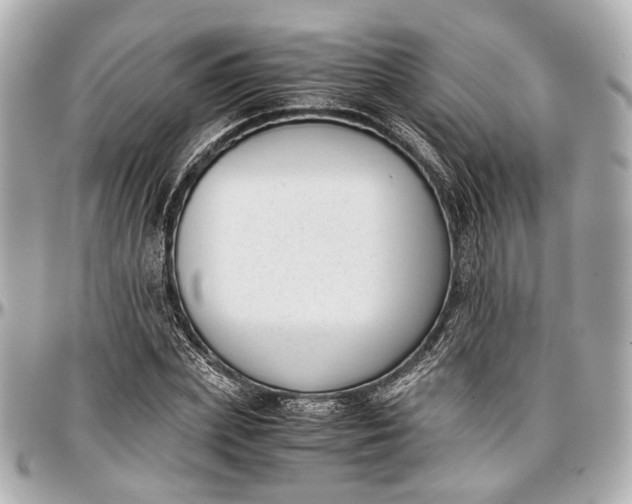 X0000097000831200802221519