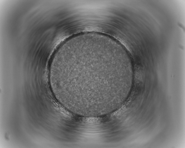 X0000097000832200802221519