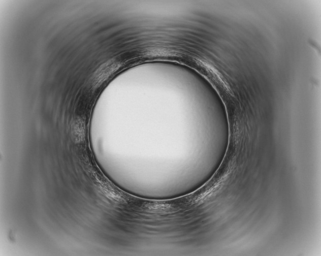 X0000097000833200802221519