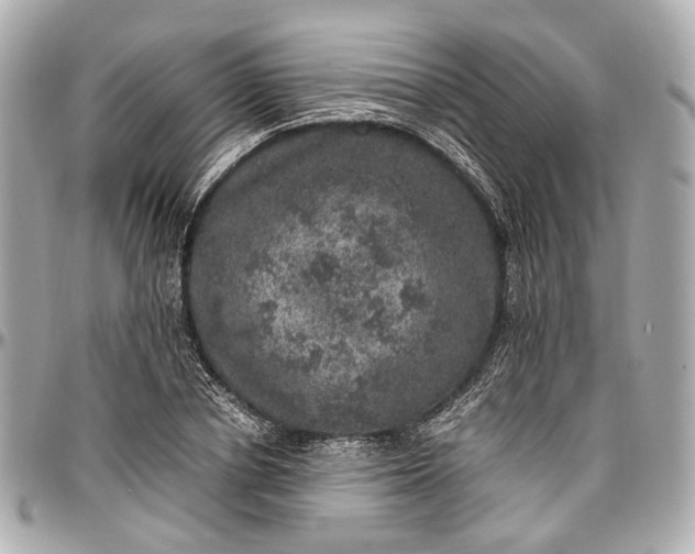 X0000097000834200802221519