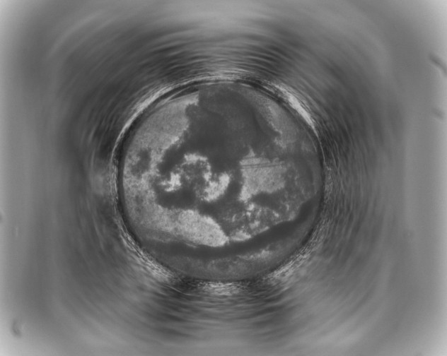 X0000097000835200802221519