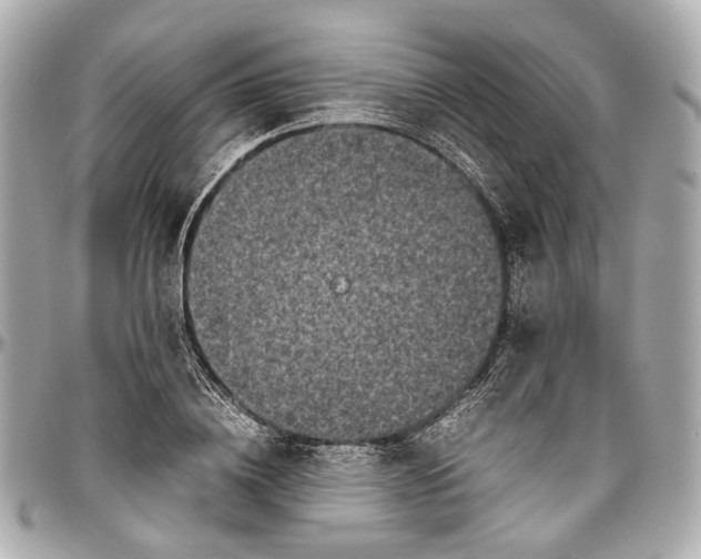 X0000097000836200802221519